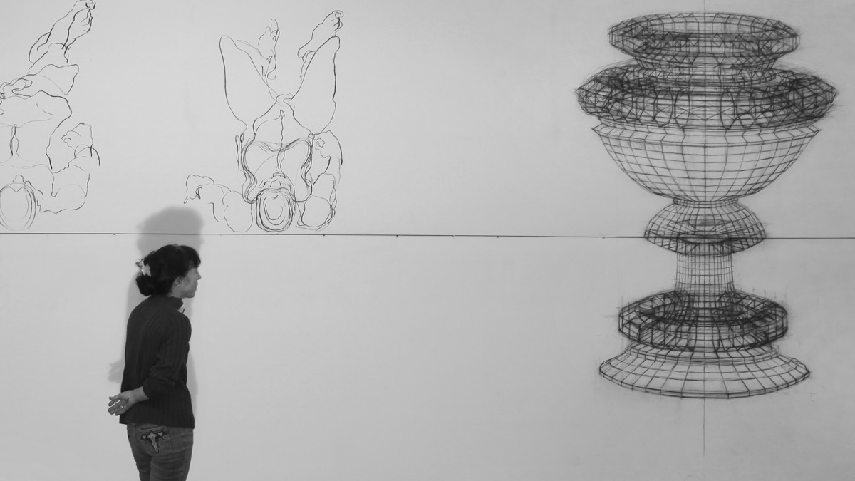 תמר גטר, גביעים וגוויות, 2010, אבקת מתכת ופחם על כותנה-פוליאסטר (צילום: אבי חי)