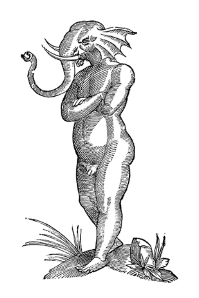 Winged Monster, from Ulise Aldrovandi, Opera Omnia Bononiane, (1559-1668), PAGE 370.